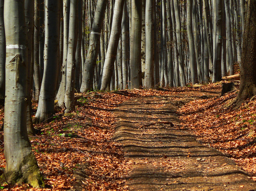 maraton-po-kysuckych-zvazniciach
