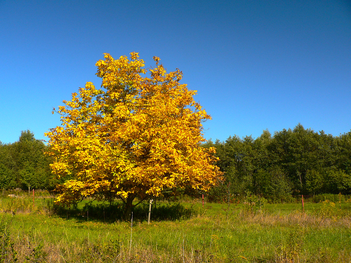 na-kofcu-pod-chleb-alebo-farebny-den-za-odmenu