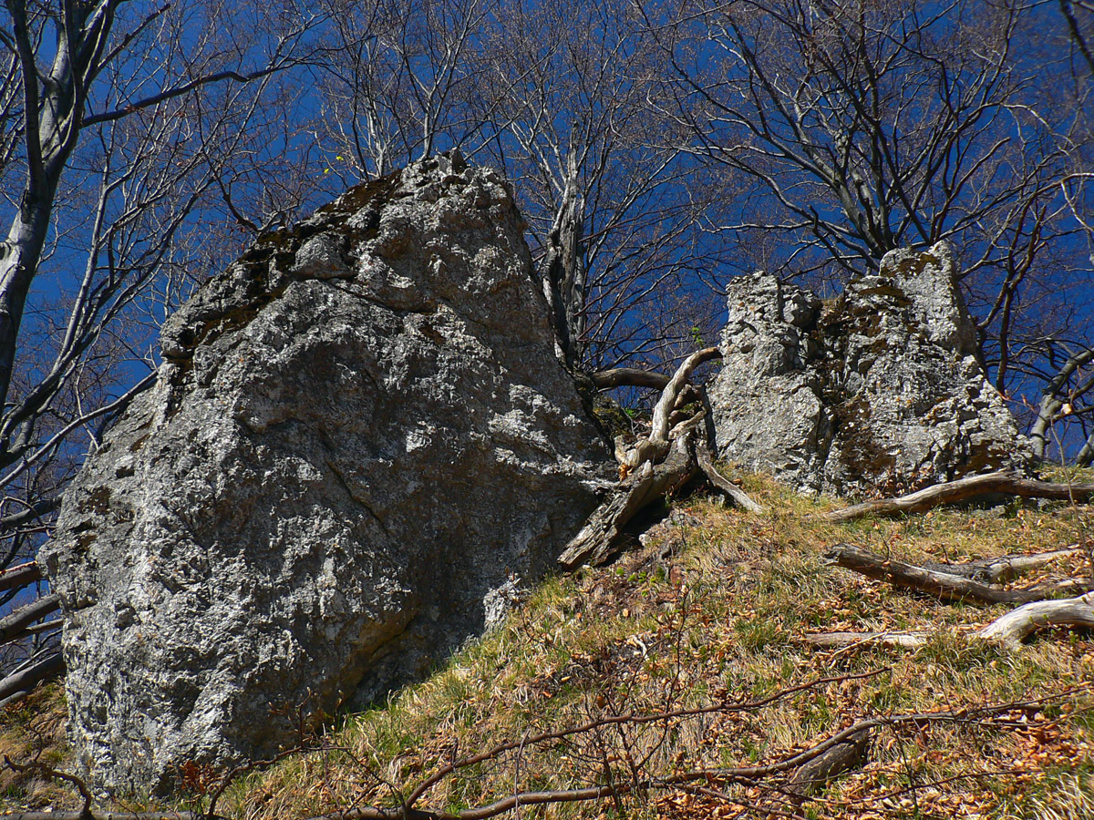 rokos-maly-hlavny-aj-predny