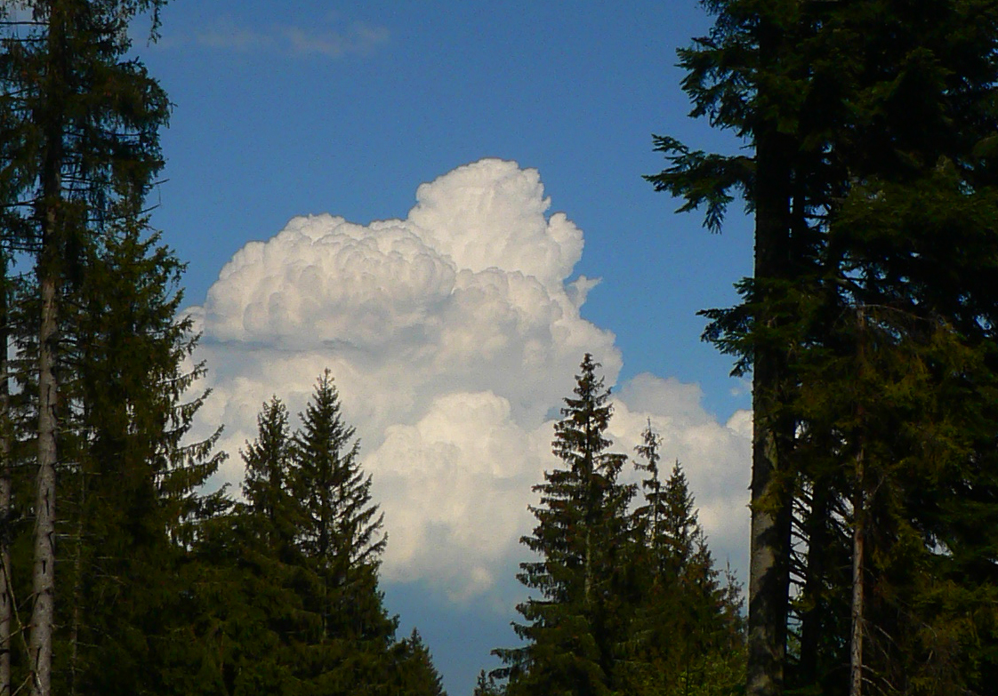 ako-sme-zutekali-z-turca-az-k-oravskej-priehrade