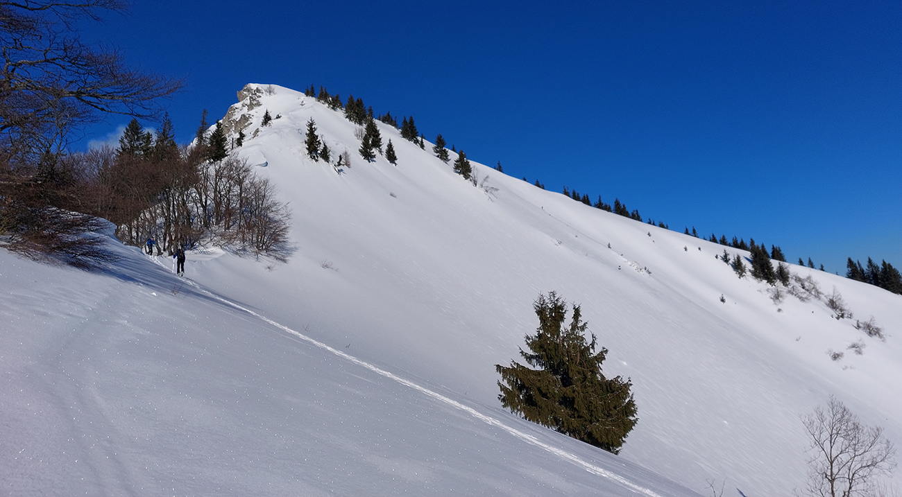 Pod_Osnicou_som_dohnal_partiu,_vystupujúcu_z_Lučivnej.