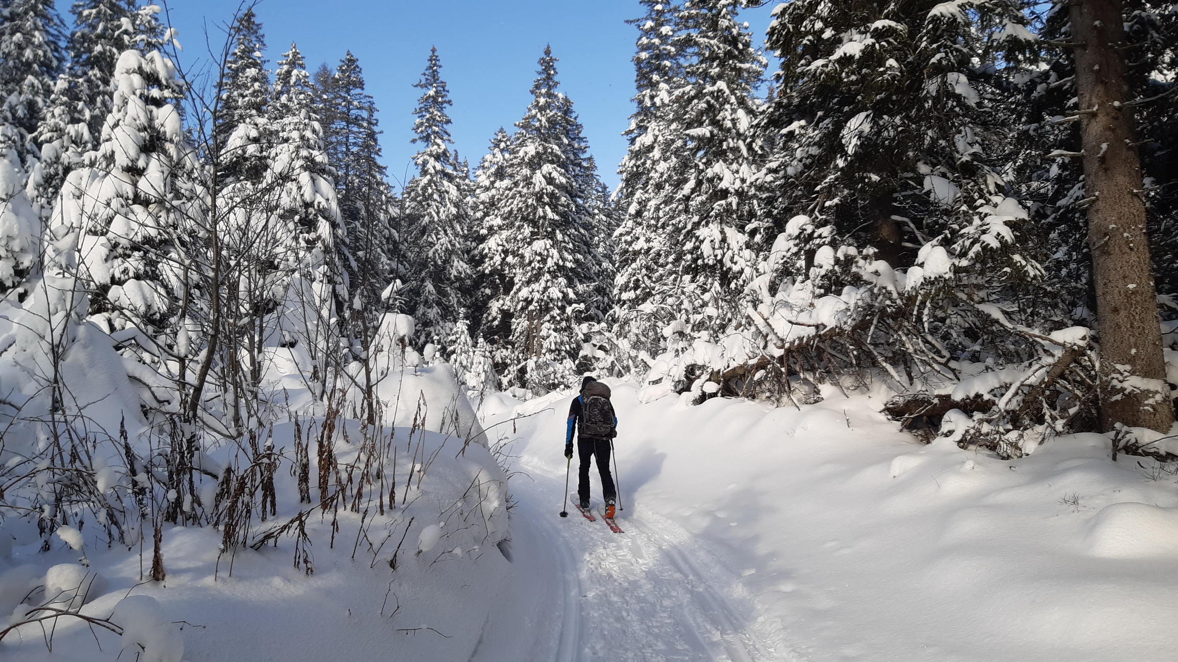 13.12. cestou na Zelené pleso 13.12._cestou_na_Zelené_pleso