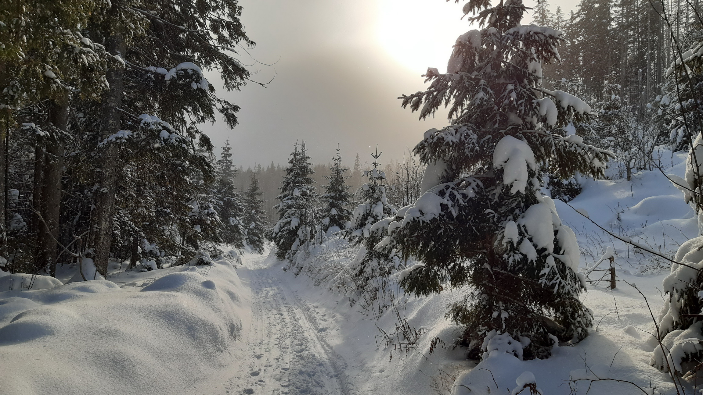 na-brncu-sa-da-uz-od-parkoviska