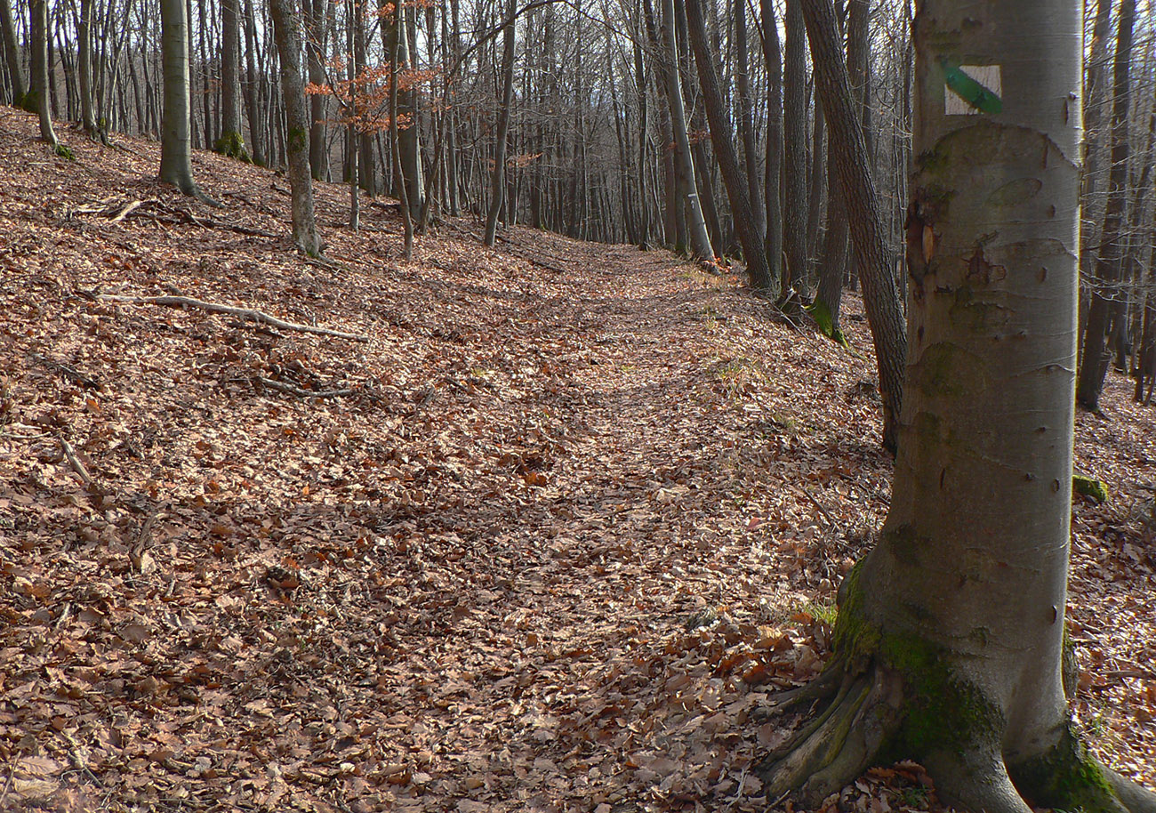 Od studničky je to už pohodový chodník. Od_studničky_je_to_už_pohodový_chodník.