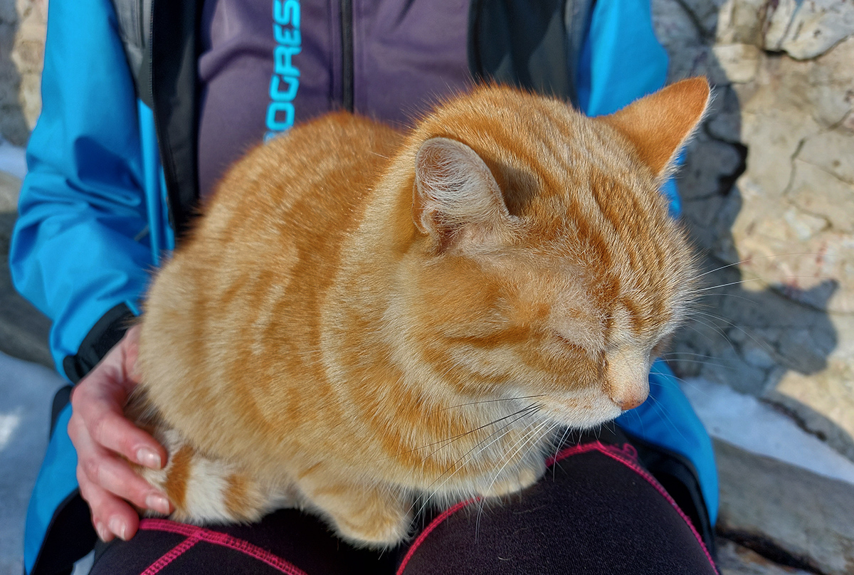 nedela-na-rakytove-dvakrat-a-dost