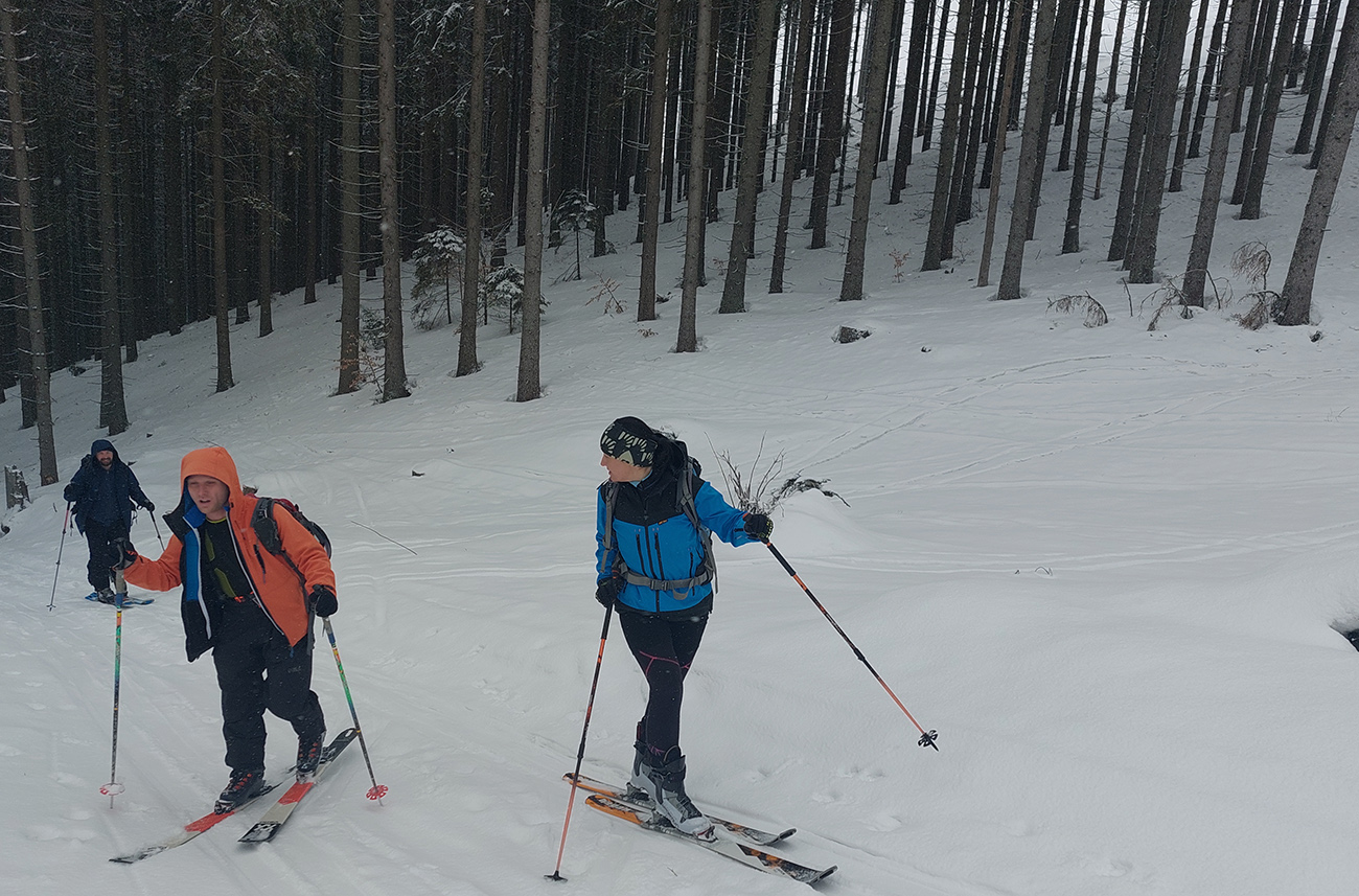 Nad_Prievalcom_von_z_lesa,_na_čistý_sneh.