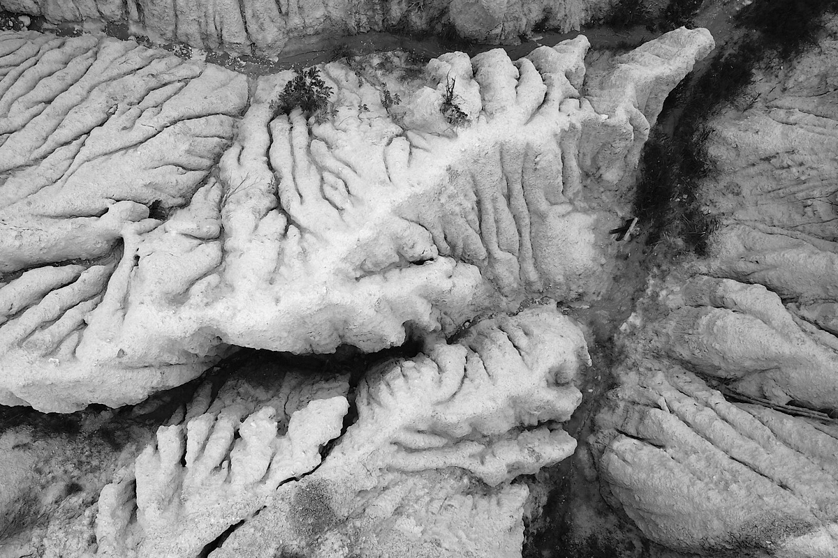 na-prieskume-u-susedov-riolittufa