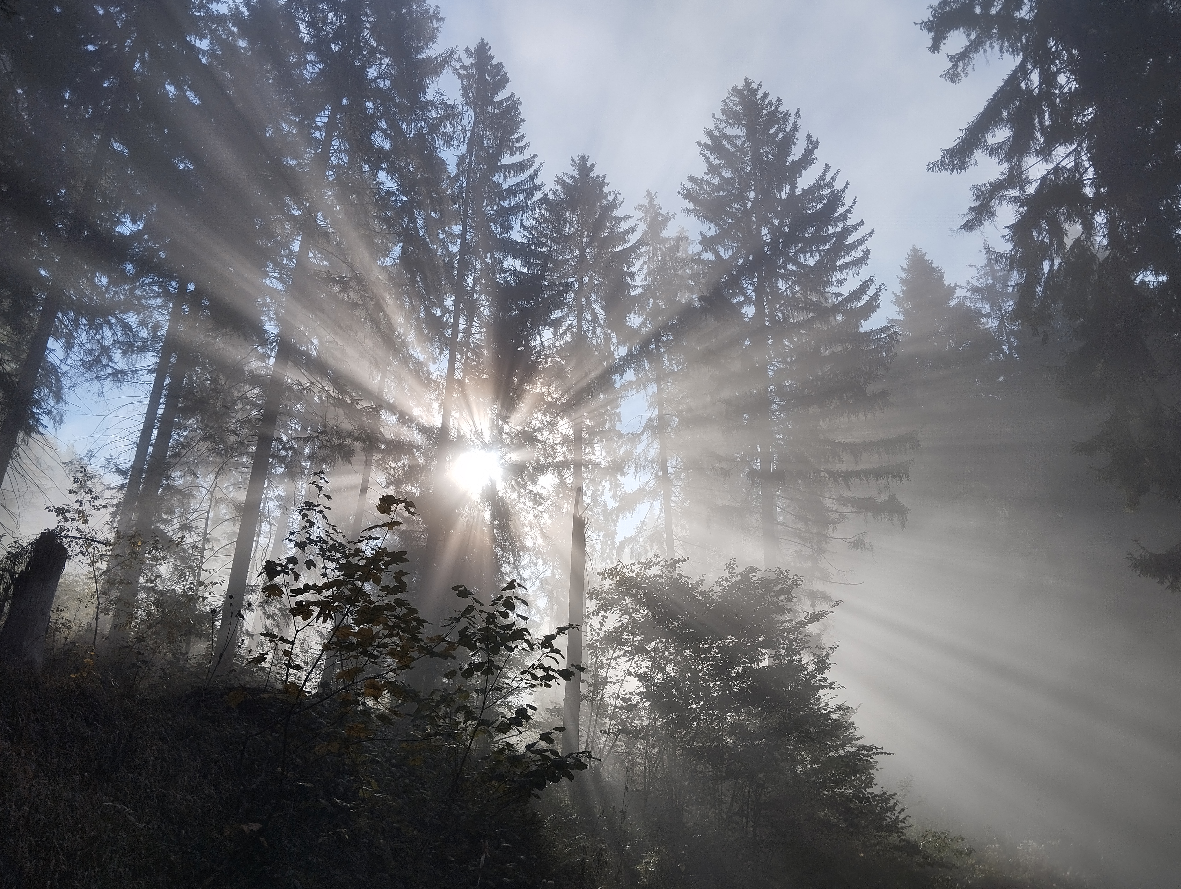 pozvanka-slovensky-ultra-extrem-sux-2024-0-rocnik-