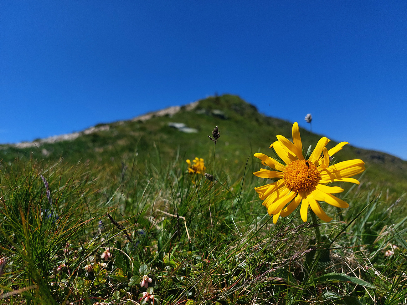 okolo-jamnickej-doliny