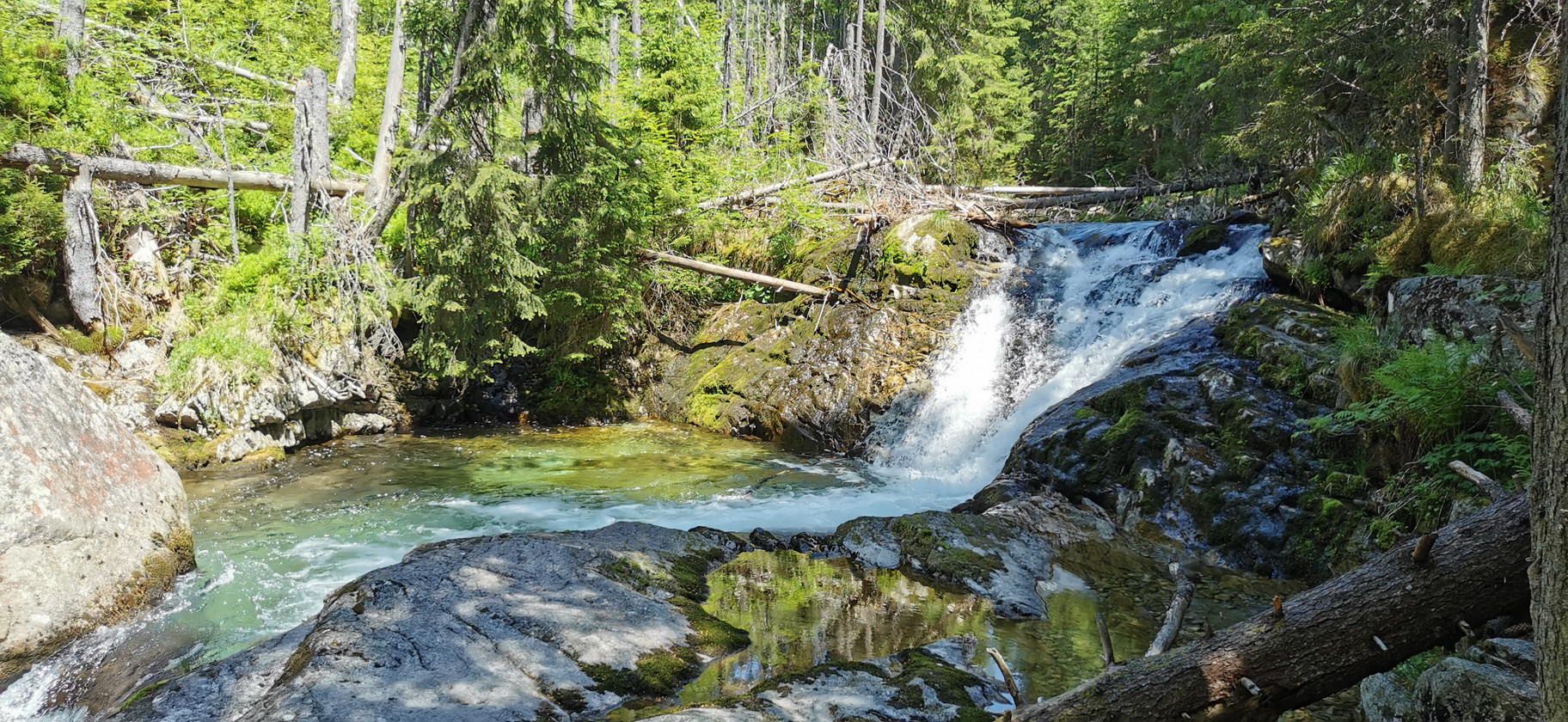 medvedí kúpeľ, hneď pri ceste v Kôprovej doline medvedí_kúpeľ,_hneď_pri_ceste_v_Kôprovej_doline