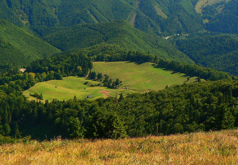 ltefanova-osnica-parnica
